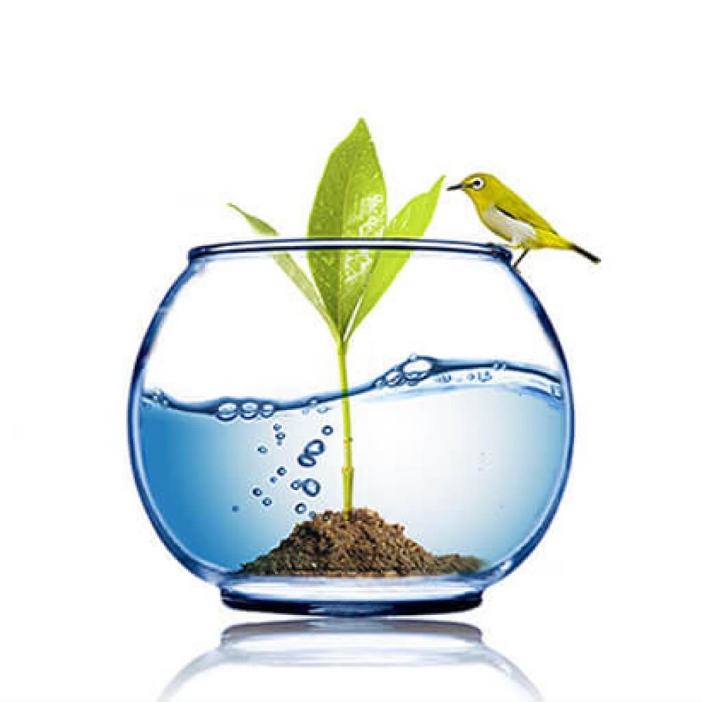 aquamag מערכת טיהור מים ומסנני מים המעשירים את המים במגנזיום